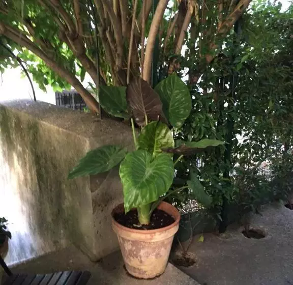 ベッドアンドブレックファースト Face Au Palais