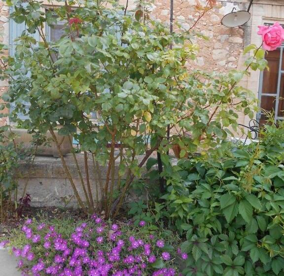 住宿加早餐  Le Mas Des Baux