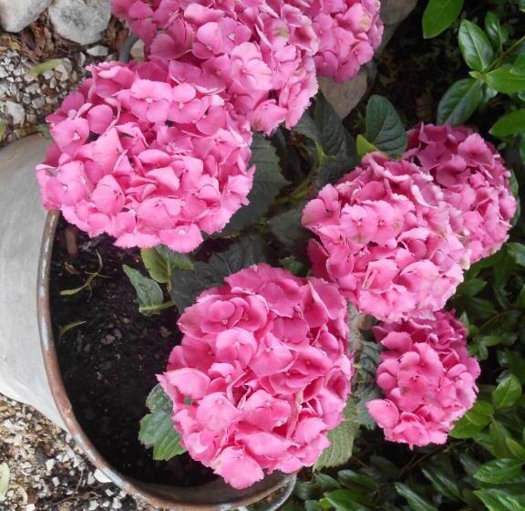 住宿加早餐  Le Mas Des Baux