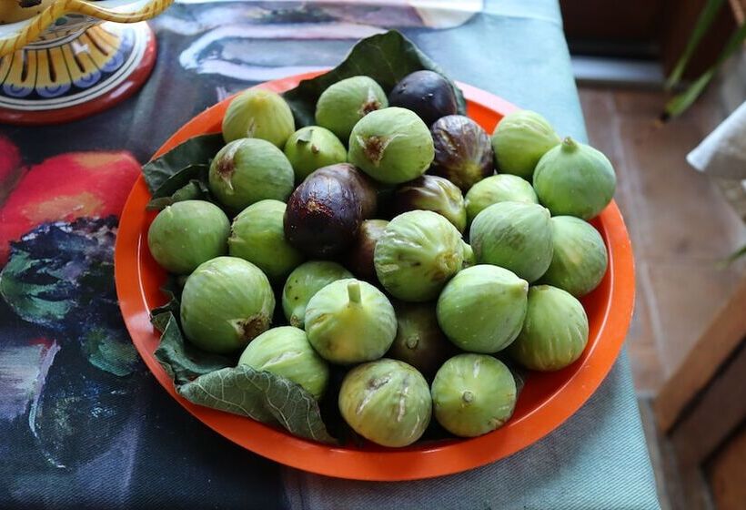 تختخواب و صبحانه Villa Clara