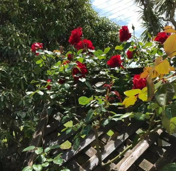 Picton House B&b And Motel