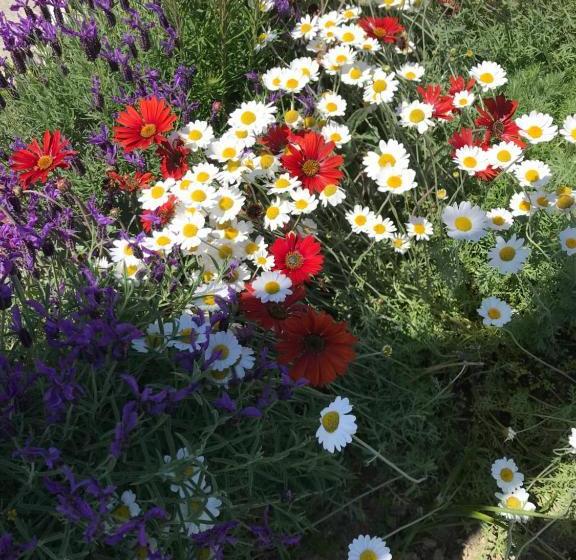 Picton House B&b And Motel