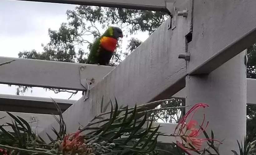 Taree Country Motel
