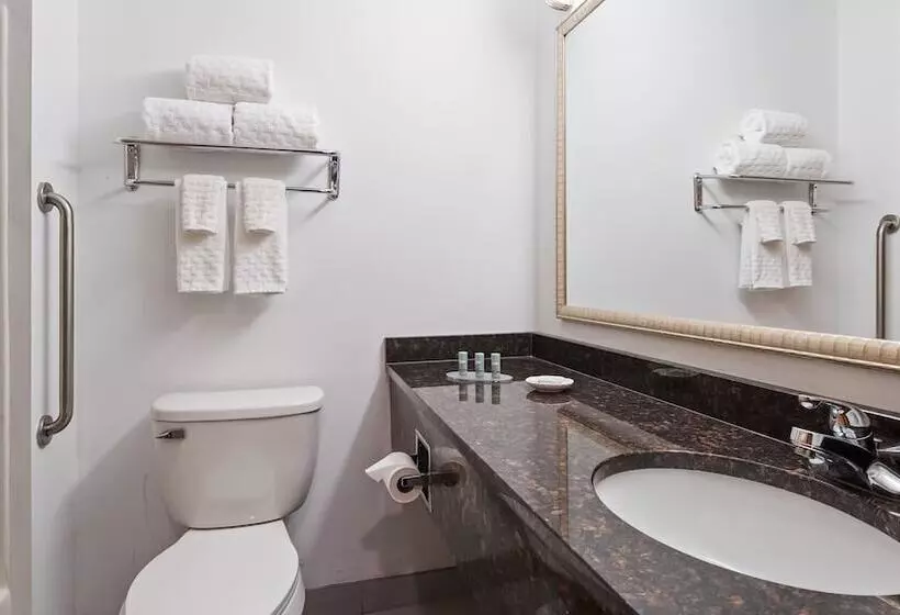 ホテル Chicago Southland