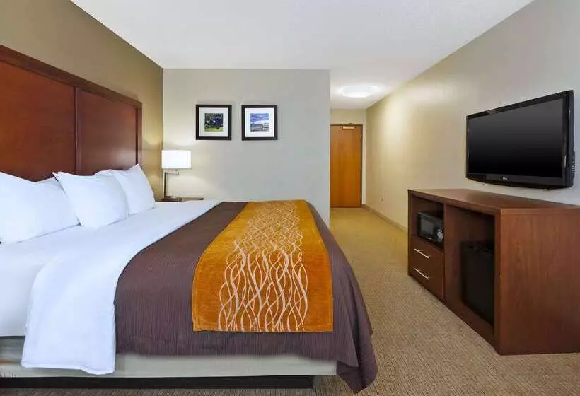 ホテル Comfort Inn & Suites