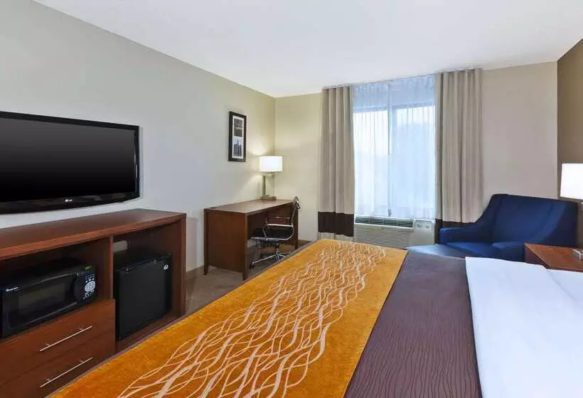 ホテル Comfort Inn & Suites