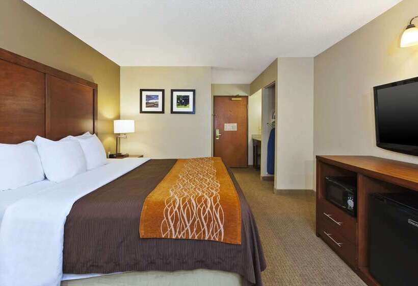 فندق Comfort Inn & Suites