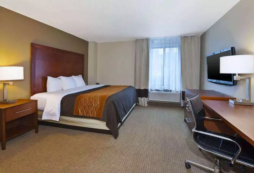 ホテル Comfort Inn & Suites