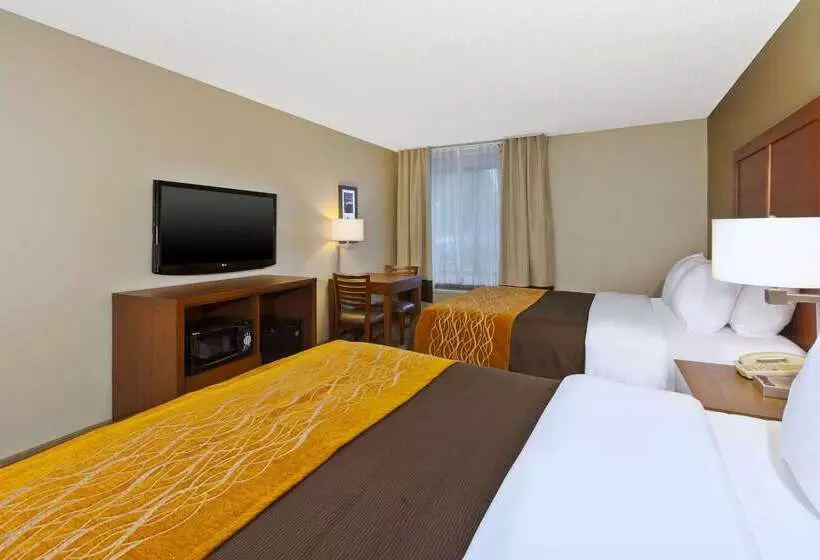 ホテル Comfort Inn & Suites