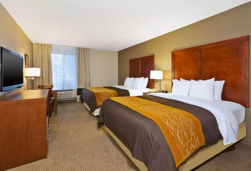 ホテル Comfort Inn & Suites