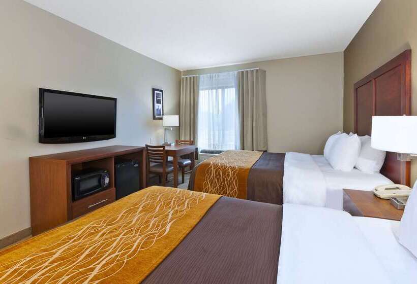 فندق Comfort Inn & Suites