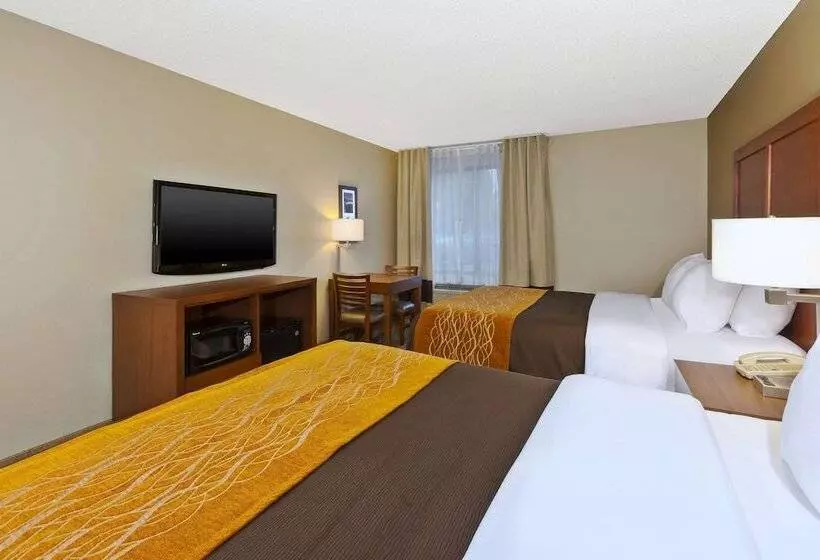 ホテル Comfort Inn & Suites