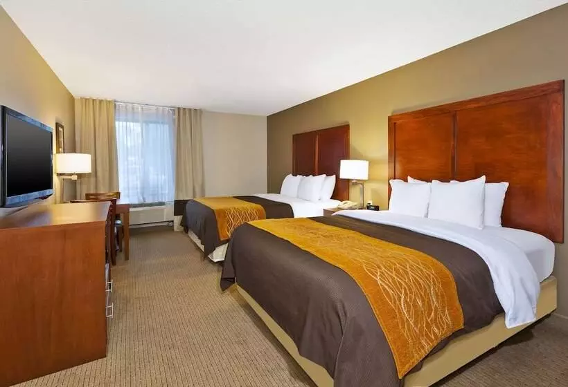ホテル Comfort Inn & Suites
