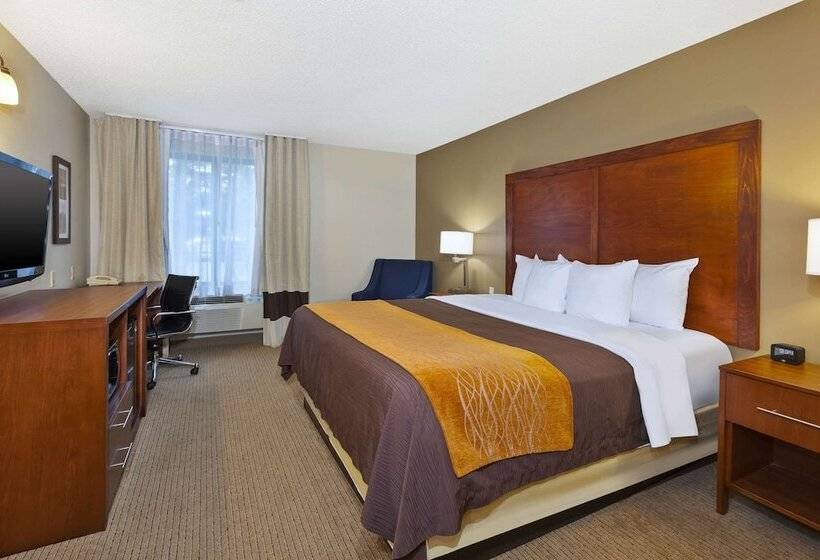 فندق Comfort Inn & Suites