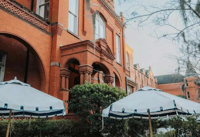 酒店 Bardo Savannah