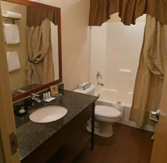 酒店 Pike S Waterfront Lodge