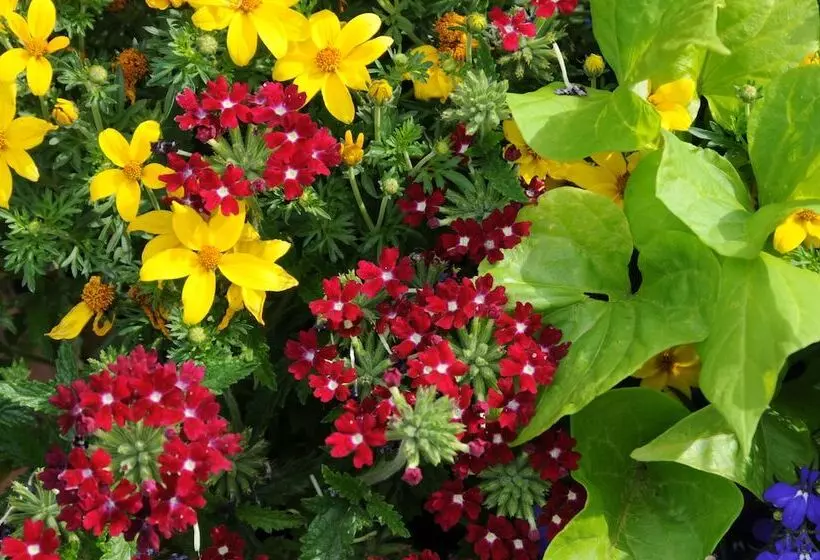 酒店 Pike S Waterfront Lodge