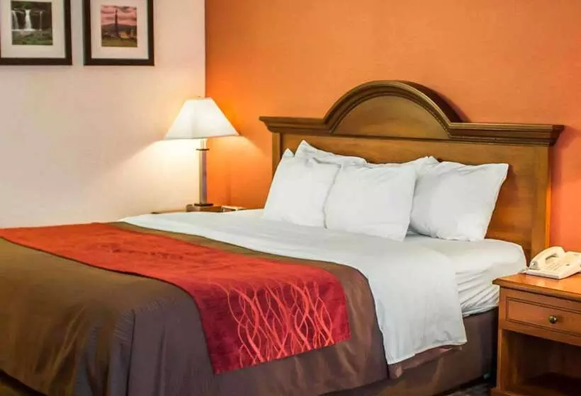 فندق Quality Inn