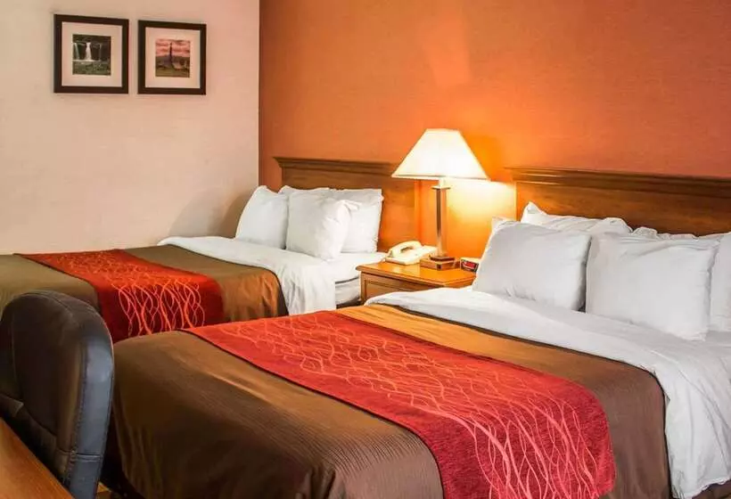 فندق Quality Inn