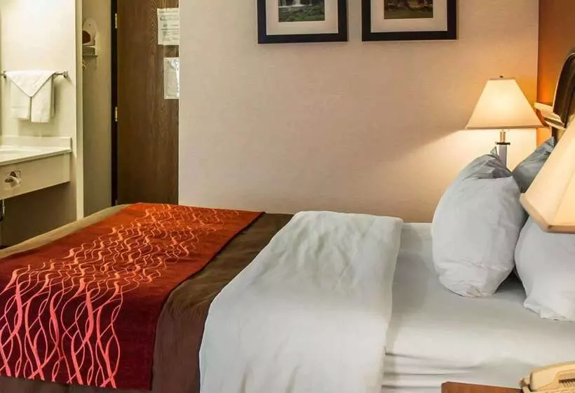 فندق Quality Inn