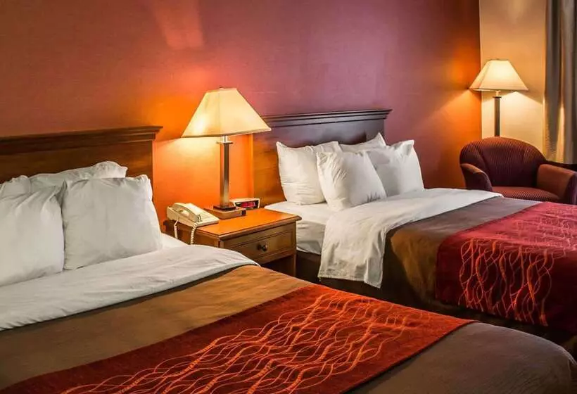 فندق Quality Inn