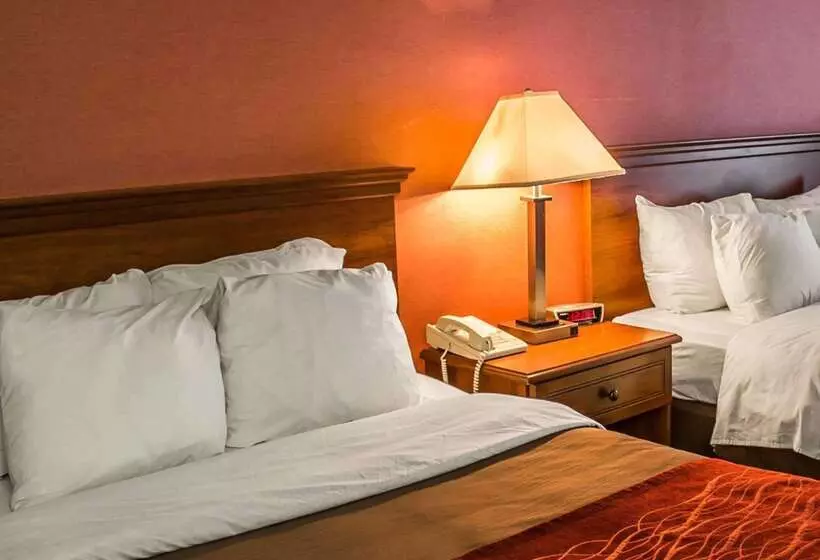 فندق Quality Inn