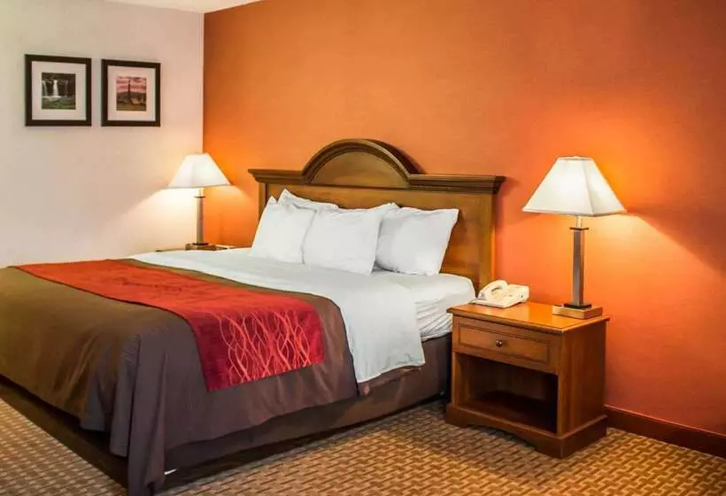 فندق Quality Inn