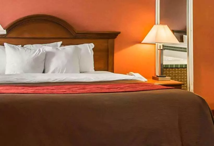 فندق Quality Inn