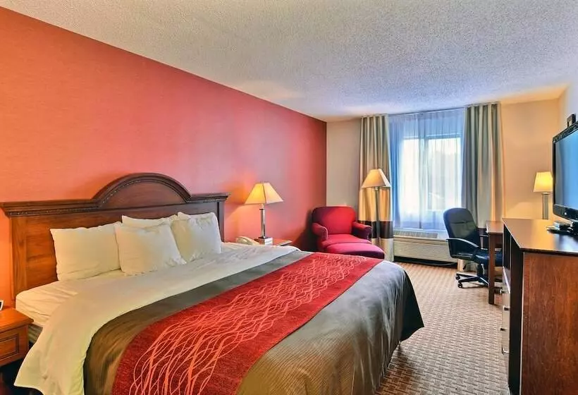 فندق Quality Inn