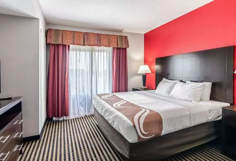 酒店 Quality Inn & Suites