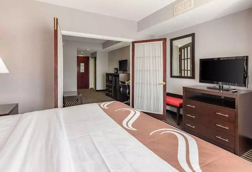 酒店 Quality Inn & Suites