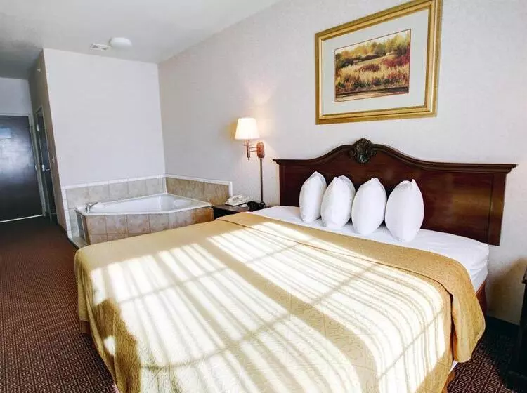 호텔 Quality Inn & Suites Near University