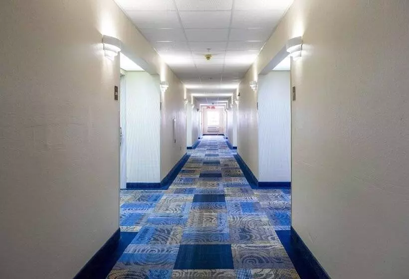 酒店 Red Roof Inn St Robert  Ft Leonard Wood