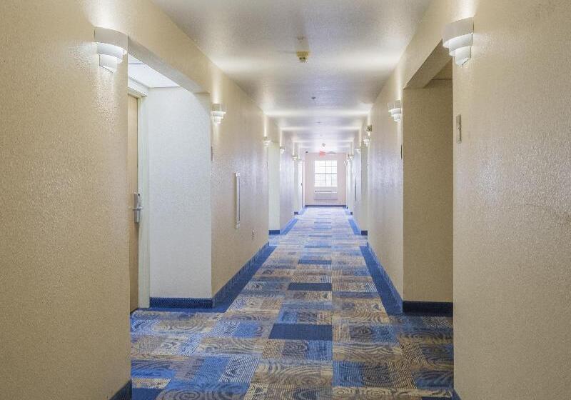 酒店 Red Roof Inn St Robert Ft Leonard Wood