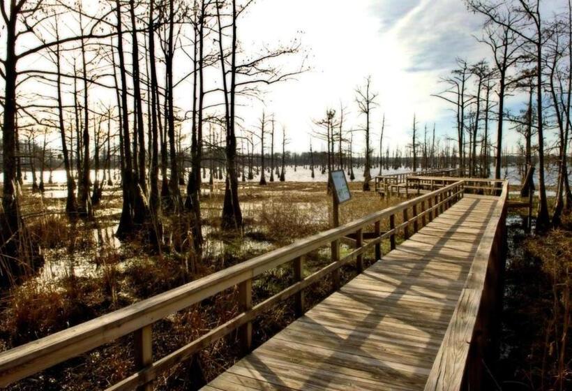 Hotel Residence Inn By Marriott Monroe