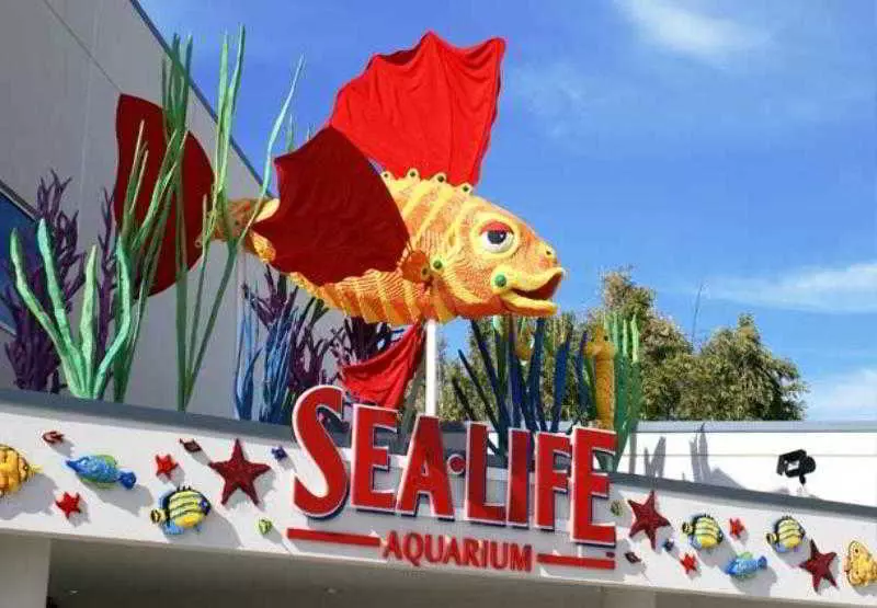 Отель Residence Inn San Diego Carlsbad