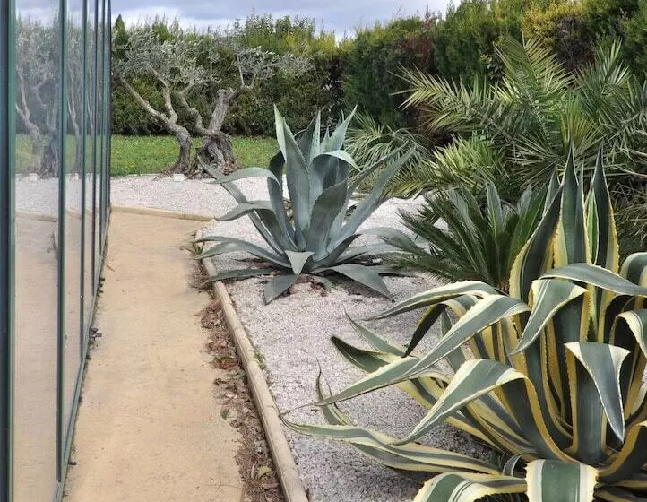 ベッドアンドブレックファースト A L Oree Des Vignes