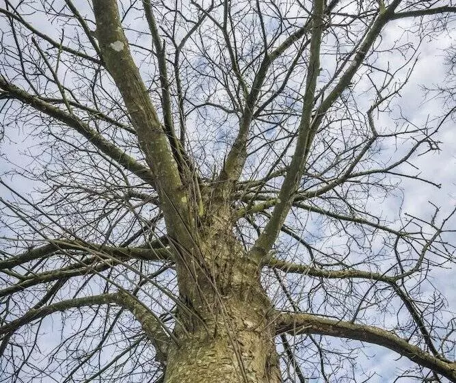 Aamiaismajoitus (B&B) Chambres D Hotes Ti Ar Yer