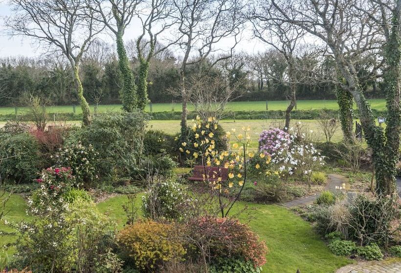 Bed and Breakfast Chambres D Hotes Ti Ar Yer