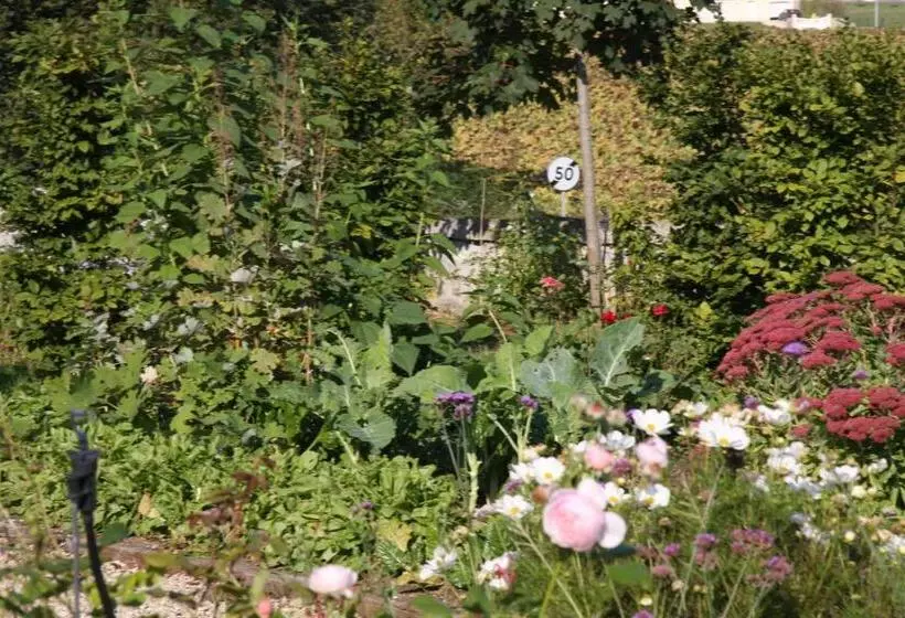 Aamiaismajoitus (B&B) Château Manoir De La Lèche