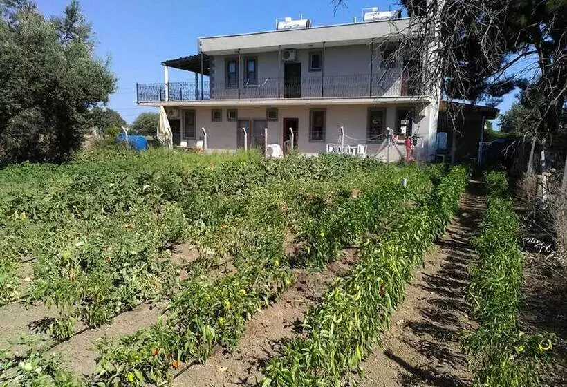 Hotelli Geyikli Herrara