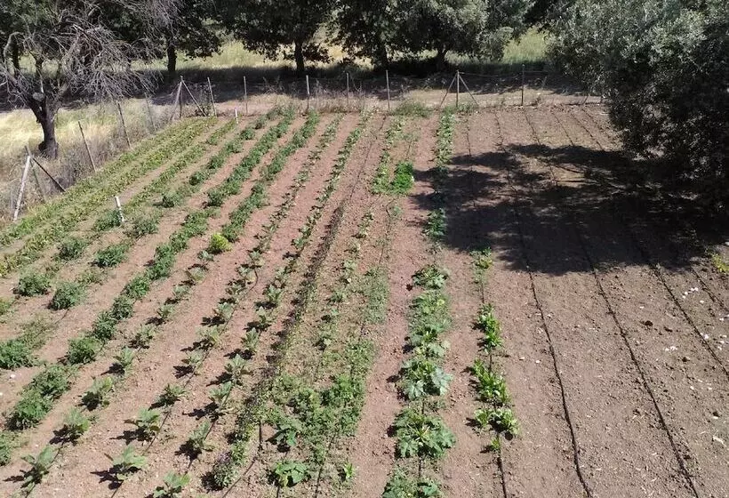 Hotelli Geyikli Herrara