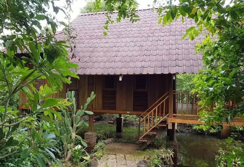 Hotelli Kingfisher Ecolodge