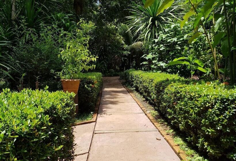 Hotel Kingfisher Ecolodge