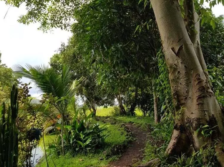 Hotelli Kingfisher Ecolodge