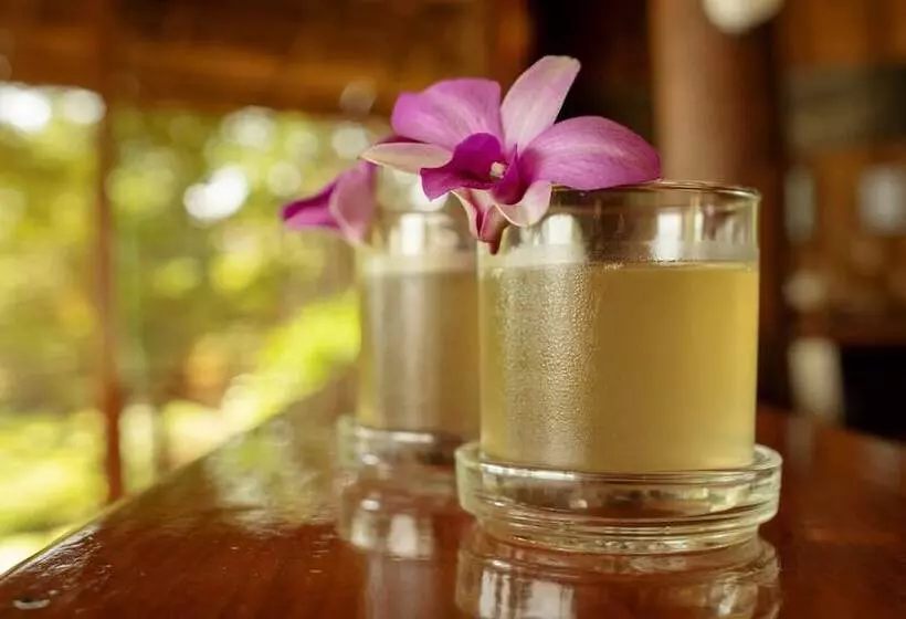 Hotelli Kingfisher Ecolodge