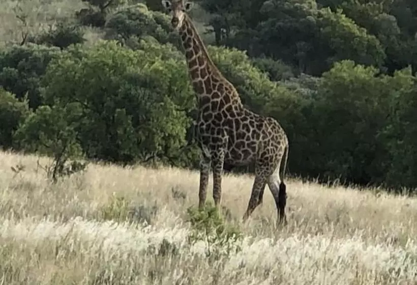 Hotelli Spendpenny Guest Farm