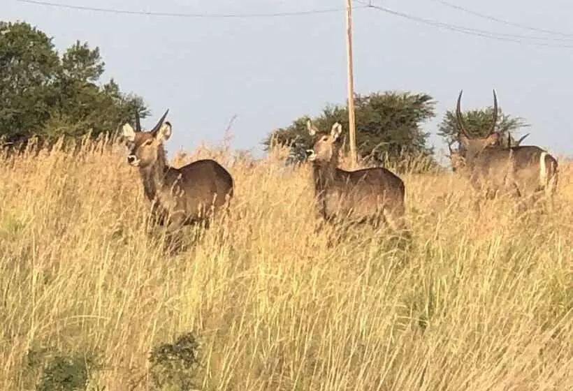 Hotelli Spendpenny Guest Farm