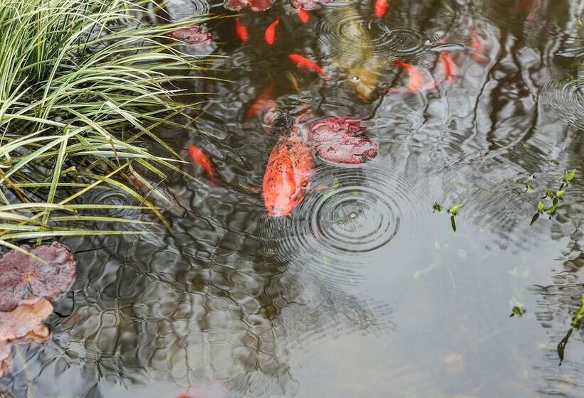 مبيت وإفطار The Royal Manor Inn