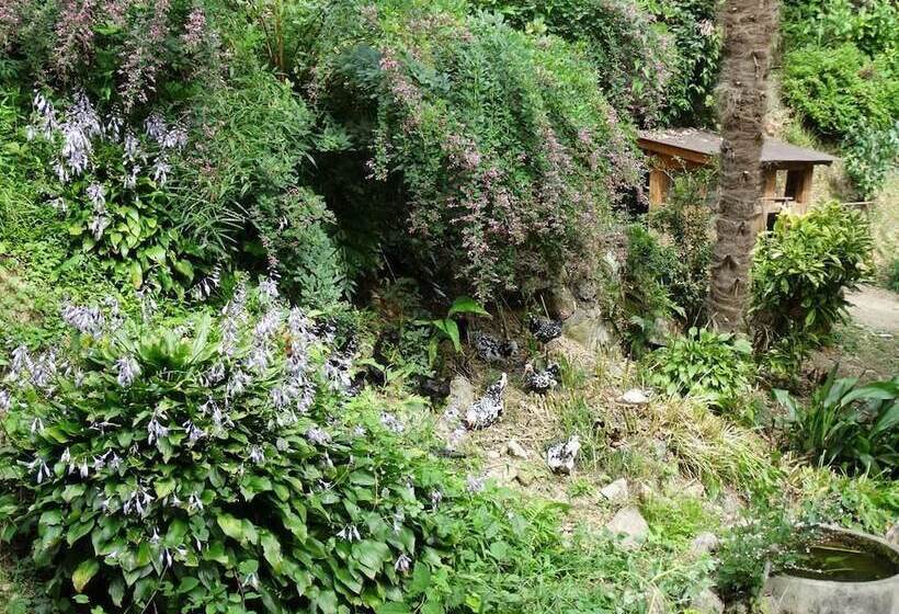 ריוקאן Aunsanbo